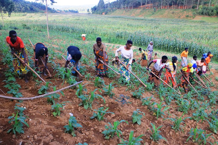 Vers une Résilience Climatique : L'Engagement des Femmes Batwa