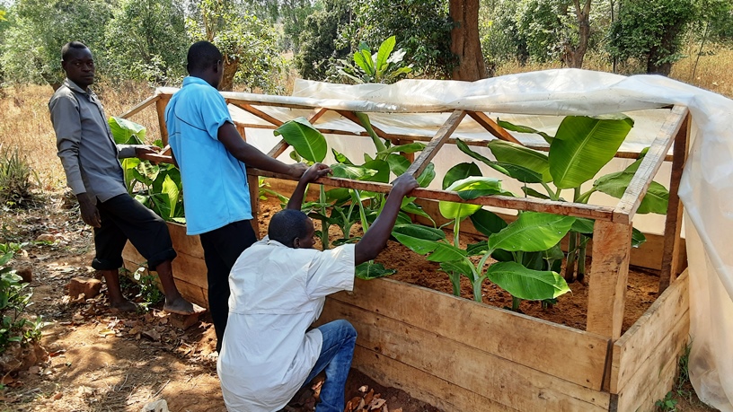 Renforcer la Production Agricole et la Souveraineté Alimentaire à Cendajuru