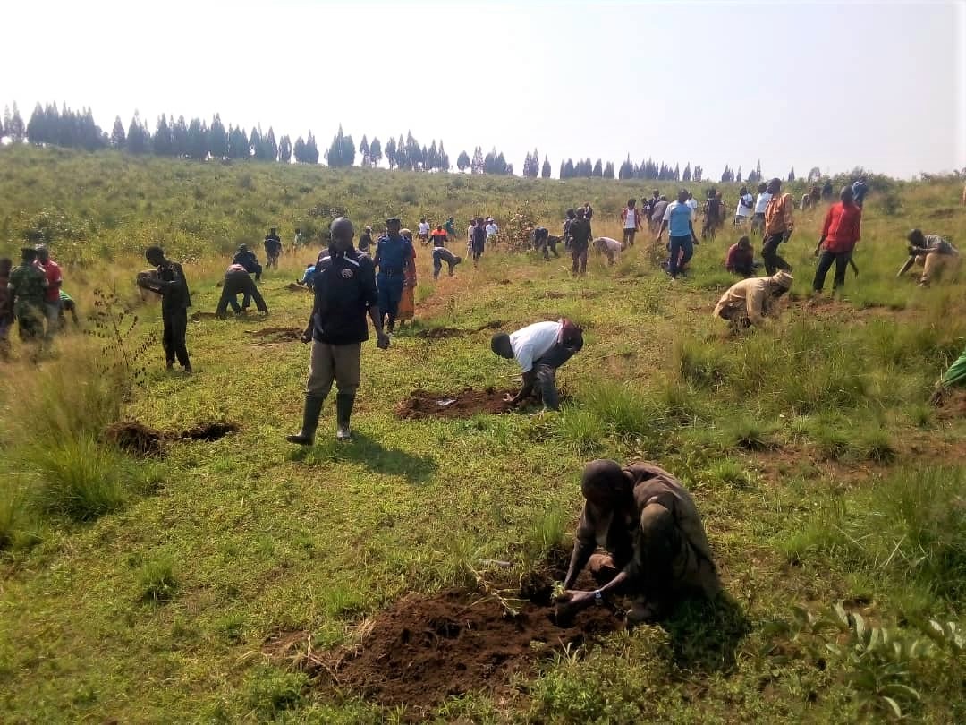 Projet de Restauration et de Résilience du Paysage du Burundi (PRRPB)