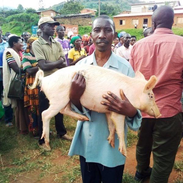 Projet d'Intensification de la Production Agricole et de la Réduction de la Vulnérabilité au Burundi (PIPARV-B)