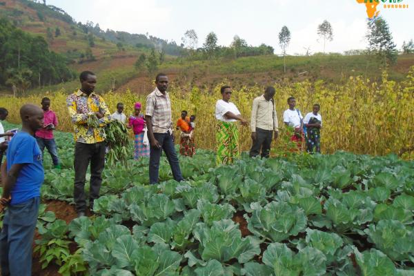 Agroécologie, Pilier d’une Transition Economique et Sociale « APTES »