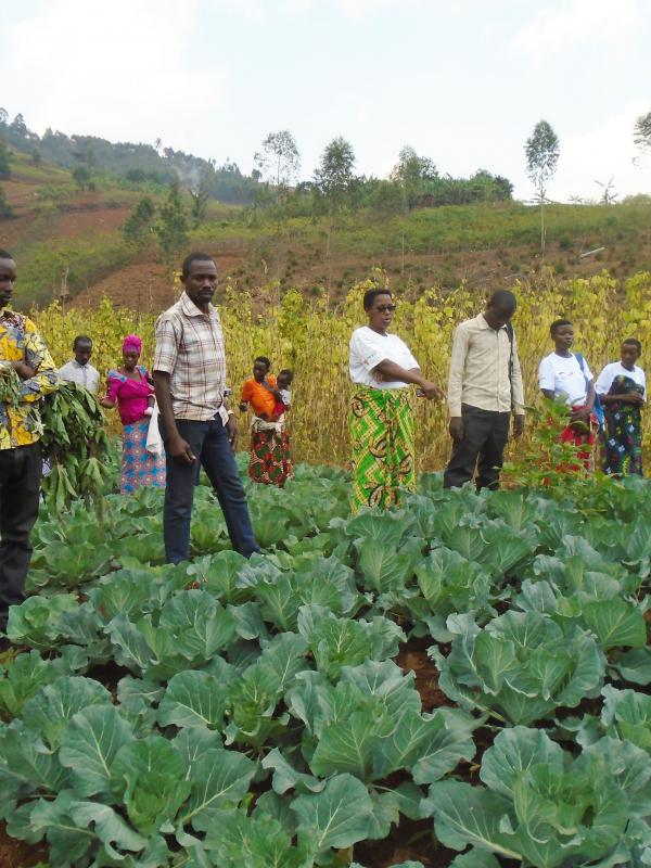 Agroécologie, Pilier d’une Transition Economique et Sociale « APTES »